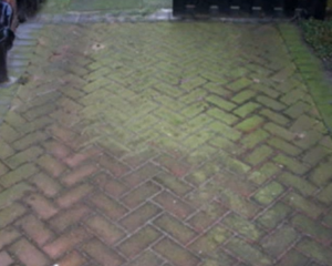 Block paving driveway heavily covered in moss and algae before SmartGuard cleaning.