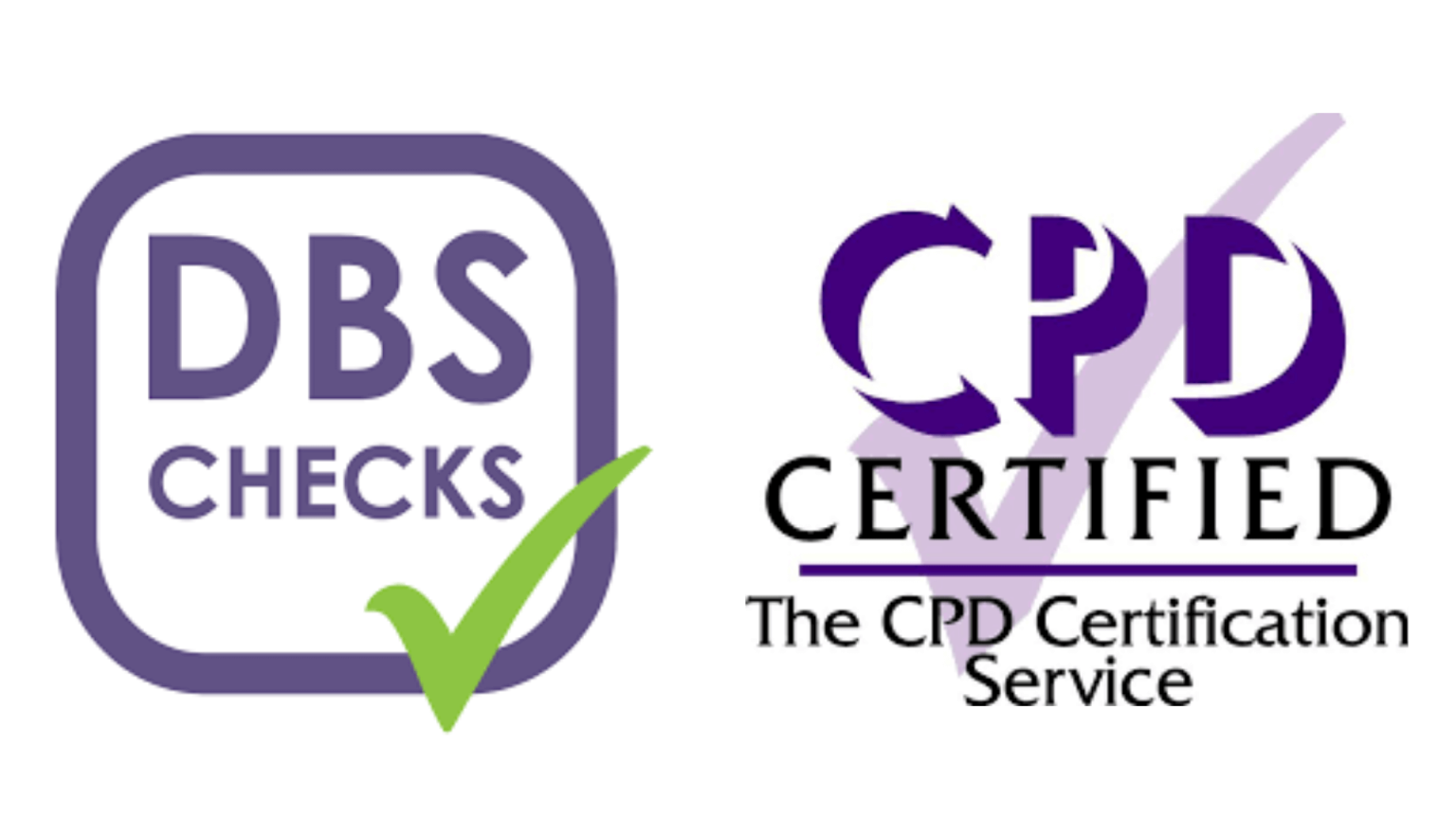 SmartGuard Professional Exterior Protection – SmartGuard Professional ...